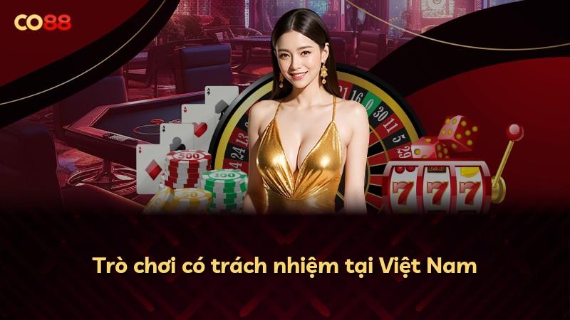 Trò chơi có trách nhiệm tại Việt Nam