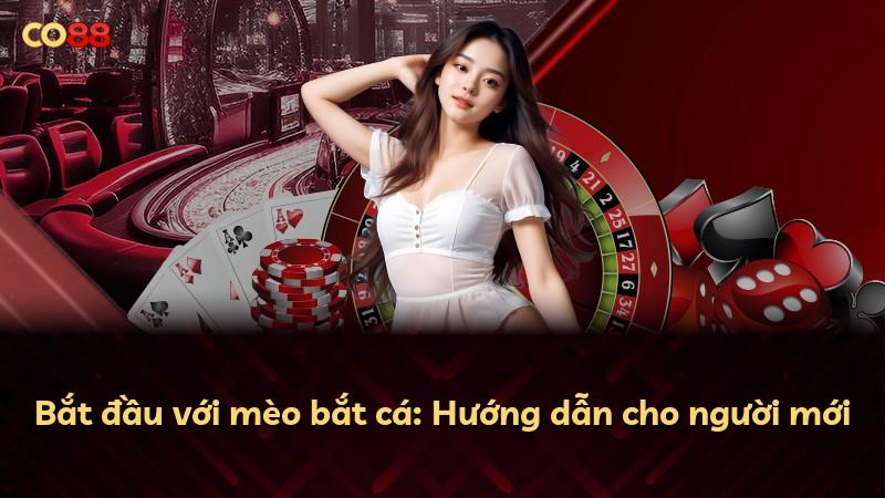 Bắt đầu với mèo bắt cá: Hướng dẫn cho người mới