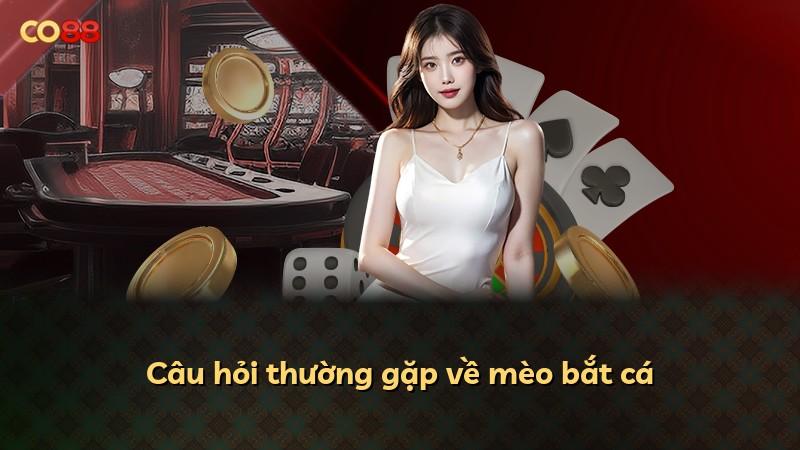 Câu hỏi thường gặp về mèo bắt cá