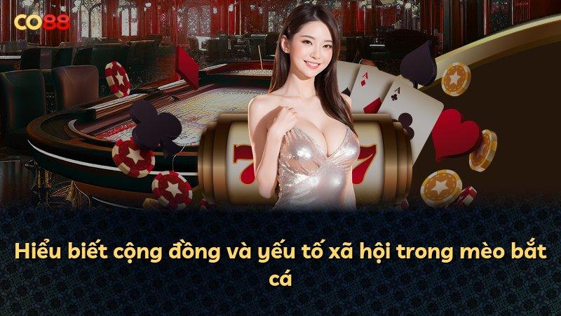 Hiểu biết cộng đồng và yếu tố xã hội trong mèo bắt cá