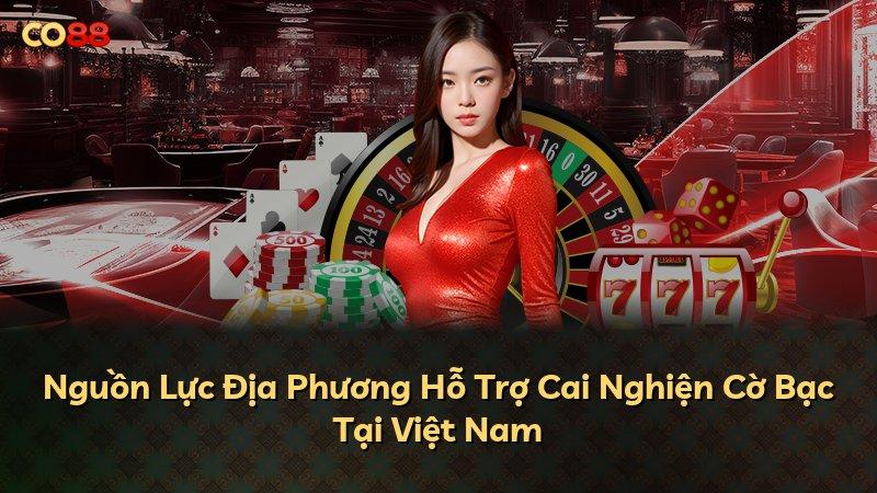 Nguồn Lực Địa Phương Hỗ Trợ Cai Nghiện Cờ Bạc Tại Việt Nam