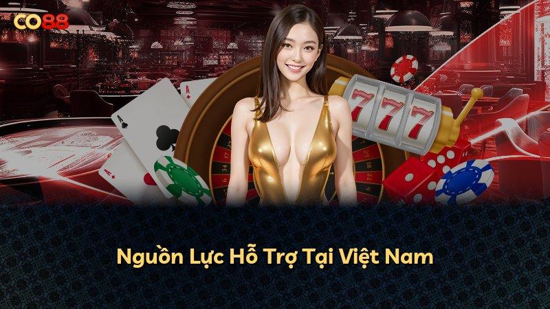 Nguồn Lực Hỗ Trợ Tại Việt Nam
