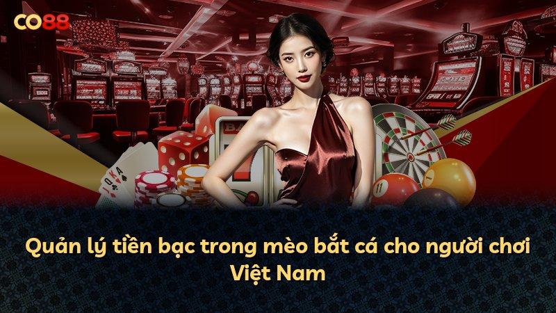 Quản lý tiền bạc trong mèo bắt cá cho người chơi Việt Nam